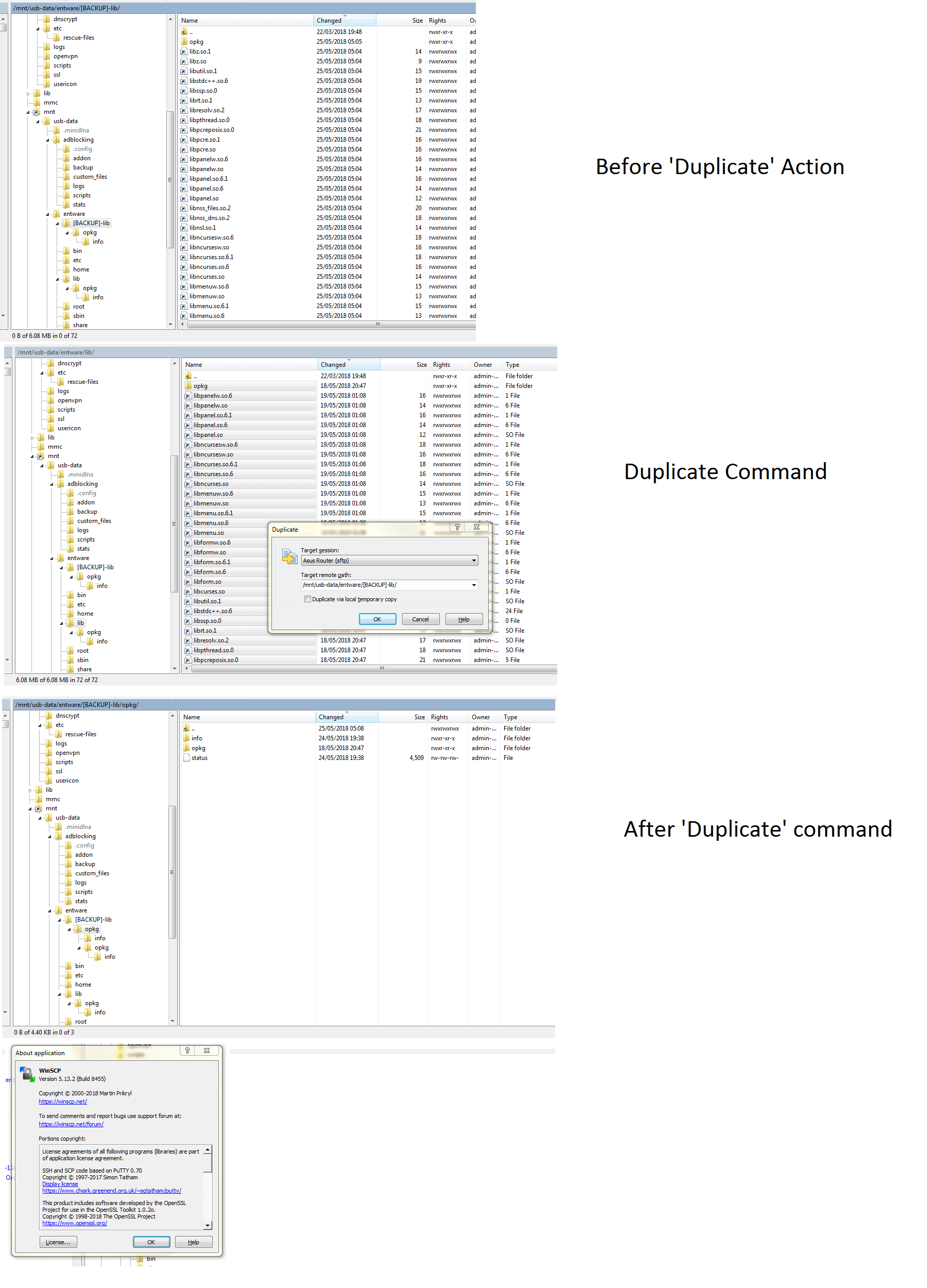 BUG REPORT Duplicate option copies directories incorrectly [does not